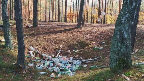 Garbage polluting forests and destroying ecosystem Stock Footage 157594823