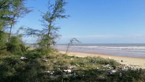 Garbage pollution trash on the grass with sea background Stock Footage 297754743