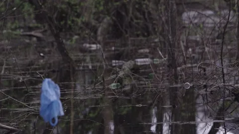 Garbage in the pond in the pond plastic bottles Video stock 145770923
