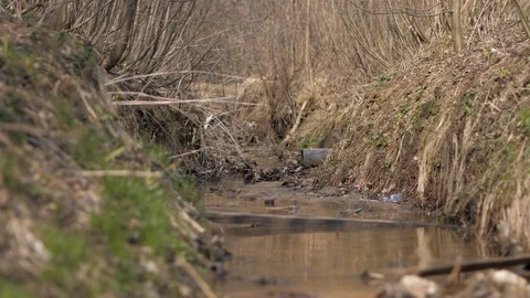 Garbage in the reservoir. Environmental pollution. Problems of the 21st century Stock Footage 128449776