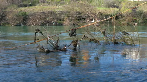 Garbage on river bank 動画素材 236867944