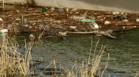 Garbage in the river Stock Footage 14930782