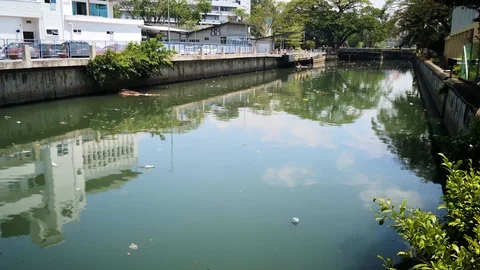 Garbage in the river Stock Footage 105023215