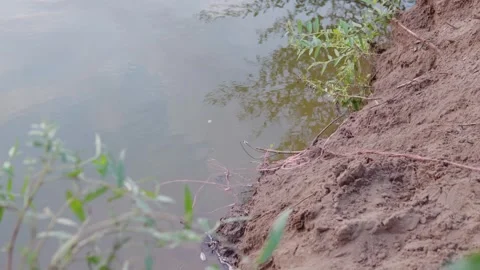 Garbage in the river Stock Footage 248464186