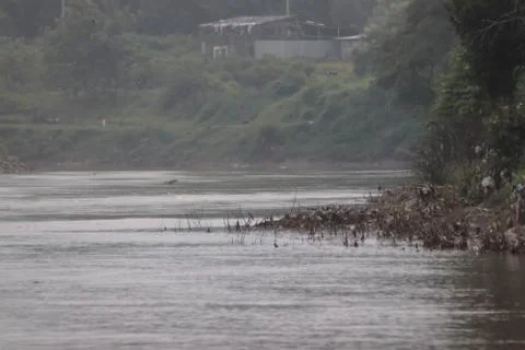 Garbage in the river - Image Stock Photos
