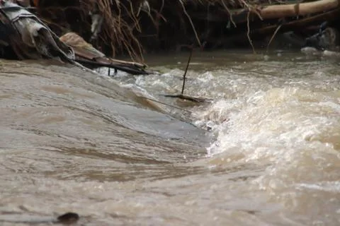 Garbage in the river - Image Stock Photos