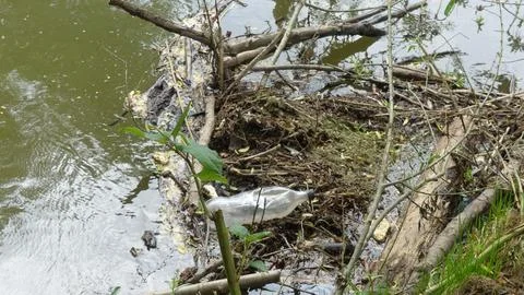 Garbage in the river Foto stock