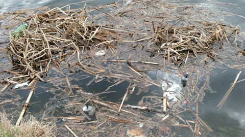 Garbage by the river. Pollution, ecology and environment protection concept Stock Footage 106614520