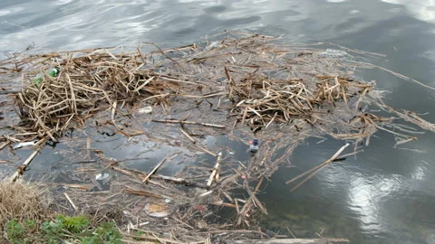 Garbage by the river. Pollution, ecology and environment protection concept Stockbeeldmateriaal 106615504