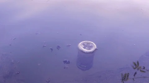 Garbage on the river, pollution 動画素材 99429179