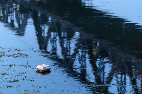 Garbage in river with railway bridge reflection Stock Photos