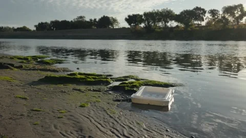 Garbage on river shoreline of a river Stock Footage 288913119