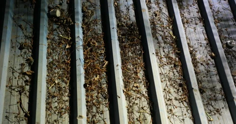 Garbage on roof Stock Footage 260449534