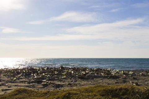 Garbage on the sandy beach, plastic and metal pollution, global warming Foto stock