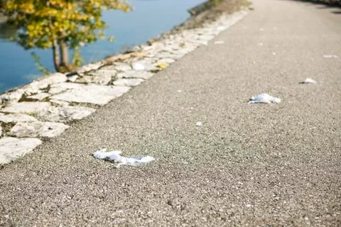 Garbage scattered along road, close-up Stock Photos