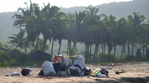 Garbage scattered on the palm beach Stock Footage 265876822