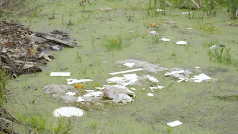 The garbage scattered on the water swamp Видео 137363144
