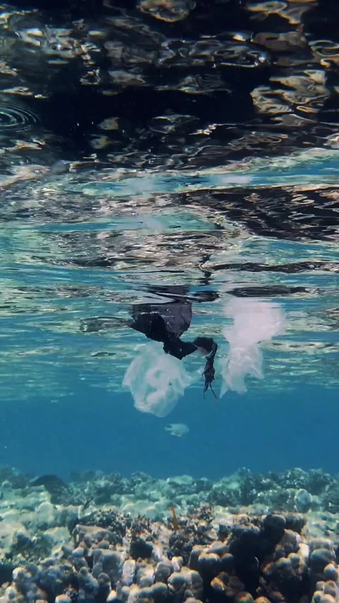 Garbage in the sea. Plastic pollution of the sea. used plastic bags slowly Stock Footage 310953718