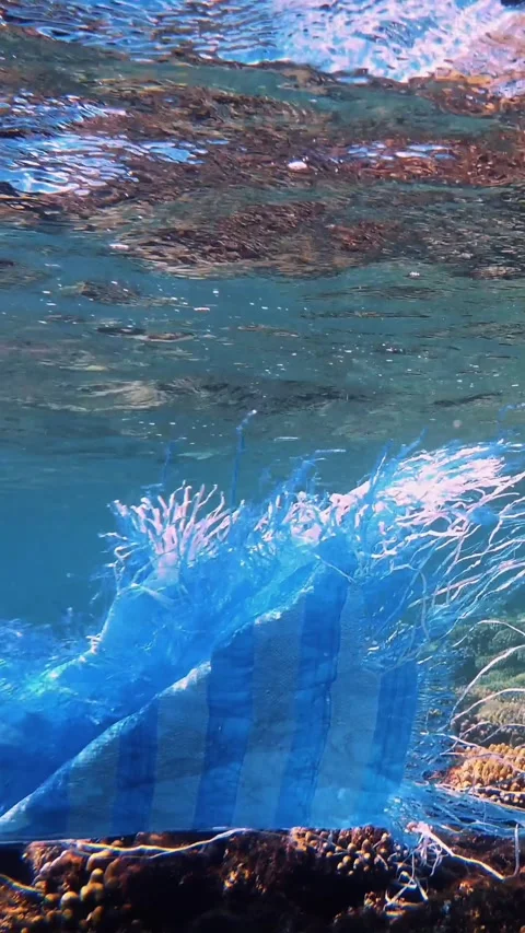 Garbage in the sea. Plastic pollution of the sea. used blue plastic bag slowly Stock Footage 313449686