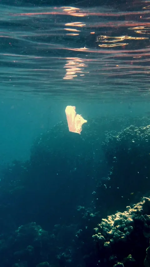 Garbage in the sea. Plastic pollution of the sea. used, white plastic bag slowly Video stock 316593512