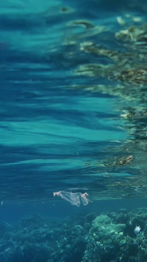 Garbage in the sea. Plastic pollution of the sea. used, plastic bag slowly Stock Footage 318078115