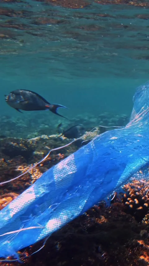 Garbage in the sea. Plastic pollution of the sea. used blue plastic bag slowly Stock Footage 321014468