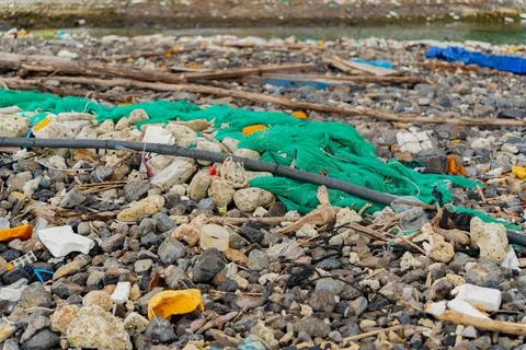 Garbage on the seashore. Photos