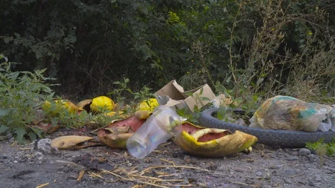 Garbage on the side of the road Video stock 114012562