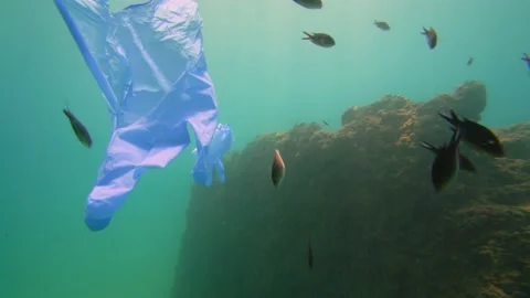 Garbage Single Use Gloves and Fishes Under the Sea Stock Footage 144841089