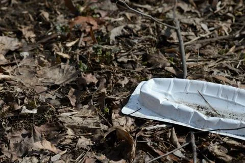 Garbage in the spring forest. The problem of ecology and pollution of nature Foto stock