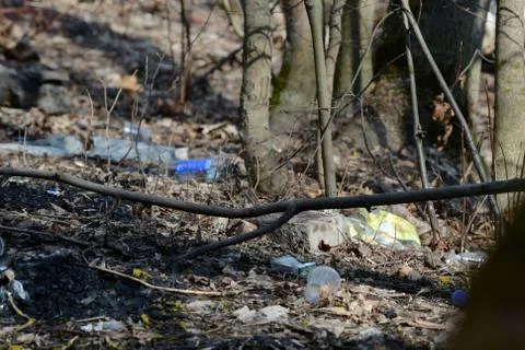 Garbage in the spring forest. The problem of ecology and pollution of nature Stock Photos