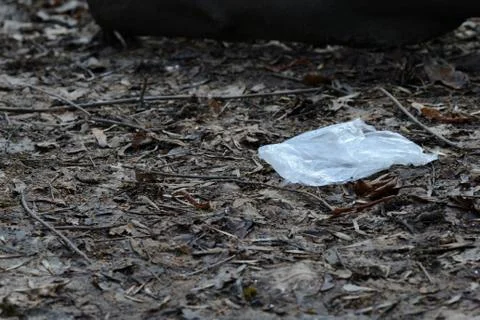 Garbage in the spring forest. The problem of ecology and pollution of nature Stock Photos