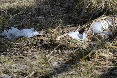 Garbage in the spring forest. The problem of ecology and pollution of nature 写真素材