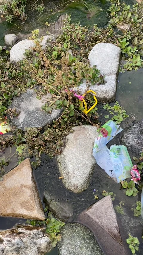 Garbage on the сreek Stock Footage 252759846