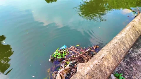 Garbage Stuck in the River Stock Footage 262205314
