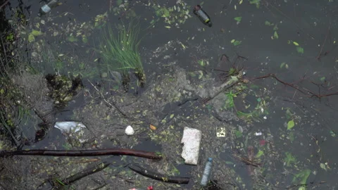 Garbage on the surface Vidéo 242498096