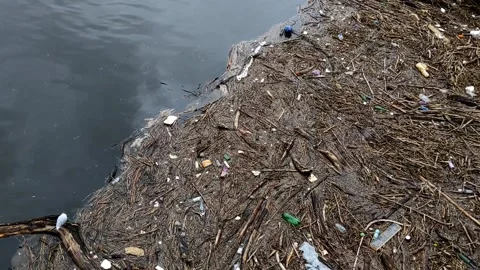 Garbage on the surface of a river Video stock 171799244