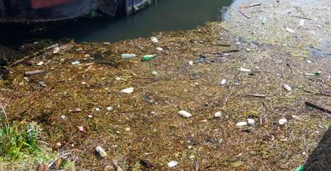 Garbage on the surface of the water in the river. Foto stock
