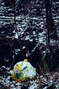 Garbage throw away in forest Stock Photos