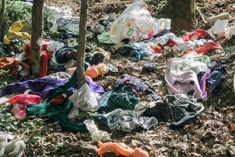 Garbage thrown in the forest. Stock Photos
