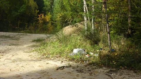 Garbage thrown in nature. Stock Footage 145204652