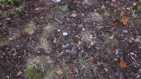 Garbage thrown in the woods. Garbage dump. Stock Footage 68527385