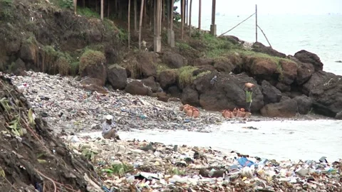 Garbage trash pollution beach Sierra Leone Africa. Coast of west Africa extreme Stock Footage 154454278