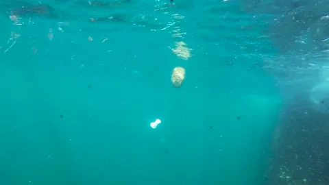 Garbage Trash in Sea Ocean Stock Footage 247401680