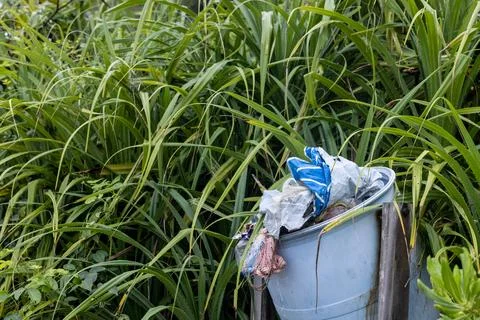 Garbage on tropical beach. 스톡 사진