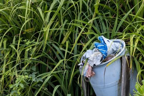 Garbage on tropical beach. Stock-Fotos