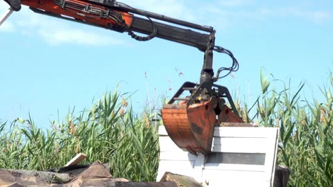 A garbage truck picks up large trash with a crane. Stock Footage 112930895
