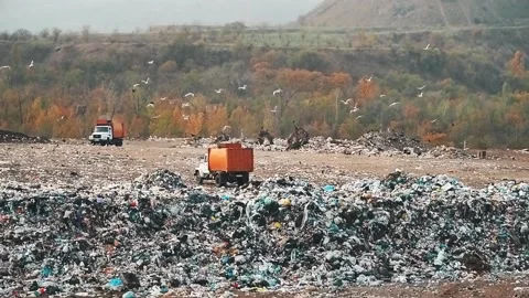 Garbage trucks in the landfill. Unsorted trash pattern. Stock Footage 143846716