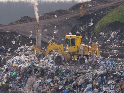 Garbage vehicles at the landfill surrounded by a flock of seagulls Vídeo Stock 83860614