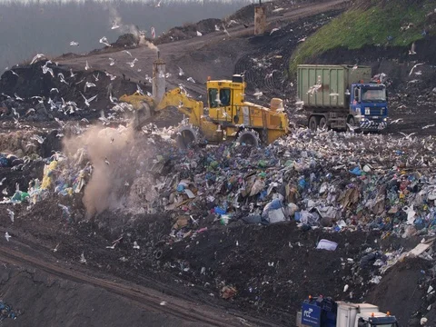 Garbage vehicles at the landfill surrounded by a flock of seagulls Stock Footage 83860717